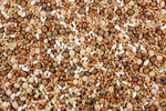 16% Low Carb Pigeon Feed (Leach Grain & Milling) No Corn Pigeon Feed Mix | Chicken Antibiotics