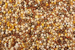 16% Royal Race (Leach Grain & Milling) Premium Racing Pigeon Feed | Chicken Antibiotics