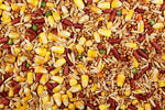 Unleaded (Leach Grain & Milling) Quality Chicken Feed - No Lead Shot | Chicken Antibiotics