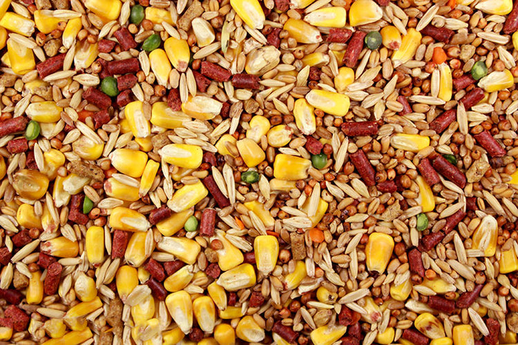 Unleaded (Leach Grain & Milling) Quality Chicken Feed - No Lead Shot | Chicken Antibiotics