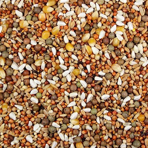 Show Pigeon Conditioner 15% (Leach Grain & Milling) Premium Pigeon Feed | Chicken Antibiotics