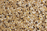Small Hookbill Quality Small Hookbill Food - 25 LBS | Chicken Antibiotics