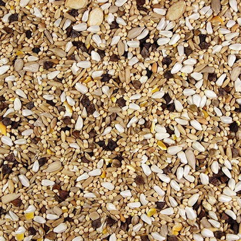 Small Hookbill Quality Small Hookbill Food - 25 LBS | Chicken Antibiotics