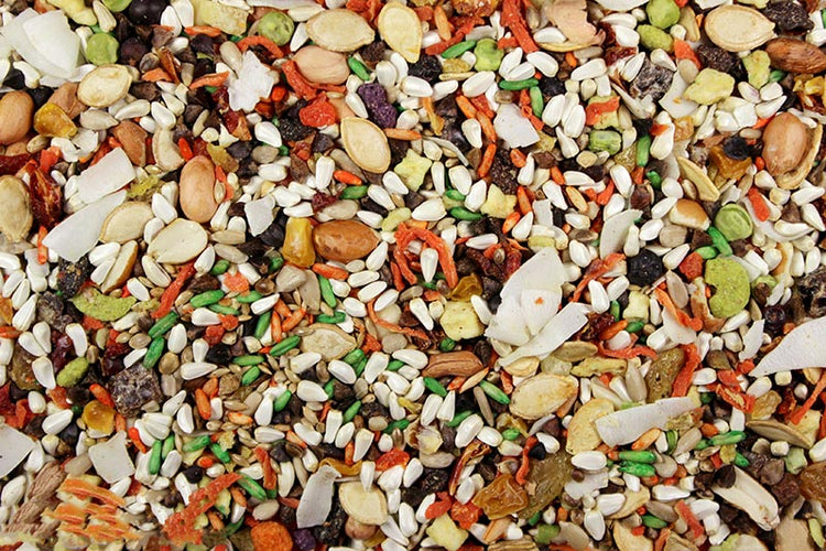 Small Hookbill Cuisine Small Hookbill Bird Food - 4 lbs | Chicken Antibiotics