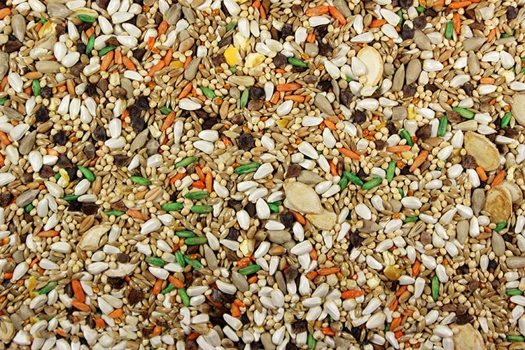 Small Hookbill Plus Premium Hookbill Bird Food - 5 lbs | Chicken Antibiotics