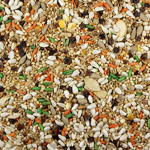 Small Hookbill Plus Premium Hookbill Bird Food - 5 lbs | Chicken Antibiotics