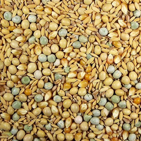 Soak Mix High Protein Bird Food/Soaked Seeds - 25 lbs | Chicken Antibiotics