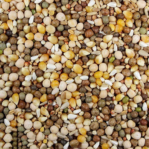 Ultra Race with Probiotics (Leach Grain & Milling) Premium Racing Pigeons Feed | Chicken Antibiotics