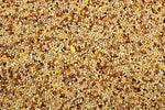 Wild Bird Seed Wild Bird Seed Mix - 5 lbs | Chicken Antibiotics