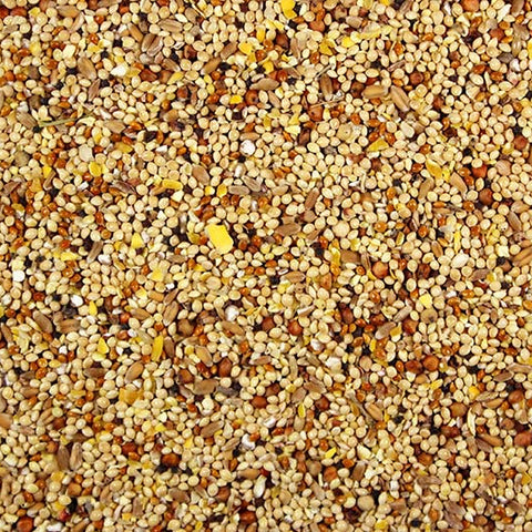 Wild Bird Seed Wild Bird Seed Mix - 5 lbs | Chicken Antibiotics