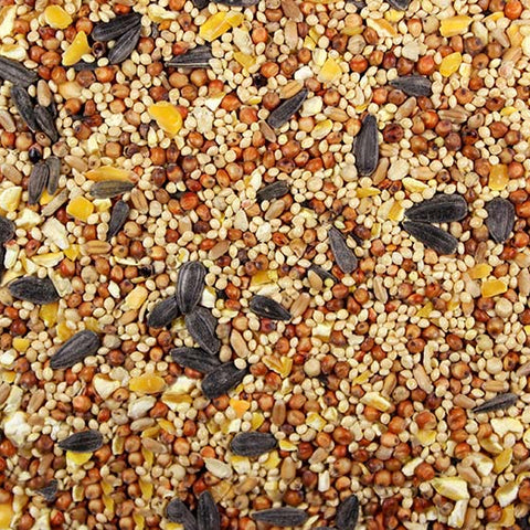 Wild Bird Seed Mix with Sunflower | Chicken Antibiotics