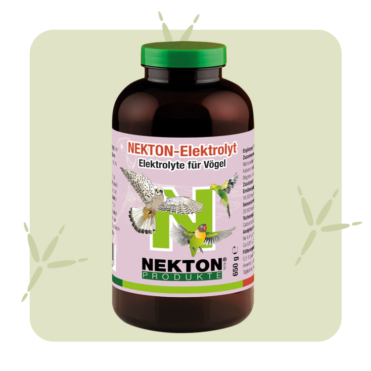 NEKTON-Elektrolyt Electrolyte Supplement for Birds – Hydration & Recovery Support - 650g | Chicken Antibiotics