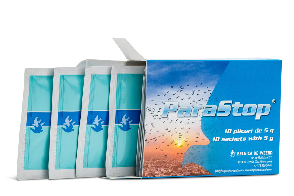 ParaStop (De Weerd) - 10 Sachets | Chicken Antibiotics