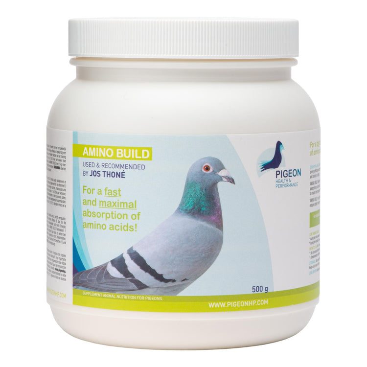 PHP Amino Build - Muscle-Building Amino Acids - 250g (8.8oz) | Chicken Antibiotics
