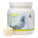 PHP Amino Build - Muscle-Building Amino Acids - 500g (1.1lb) | Chicken Antibiotics