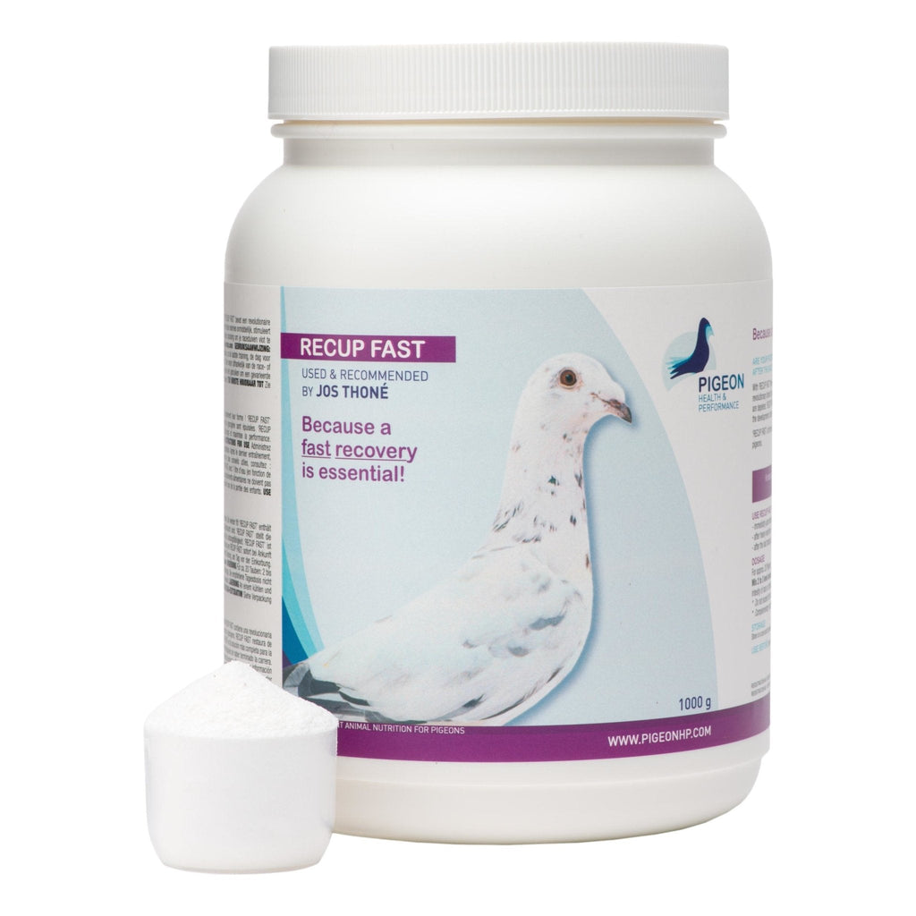 PHP Recup Fast - A Protein Blend for Quick Recovery | Chicken Antibiotics