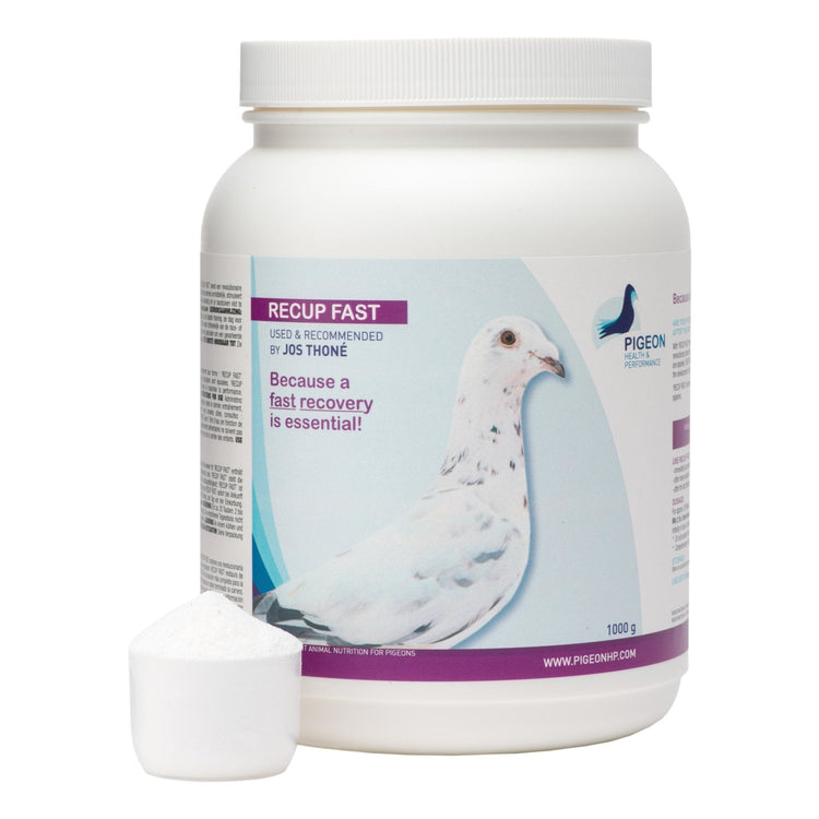 PHP Recup Fast - A Protein Blend for Quick Recovery | Chicken Antibiotics