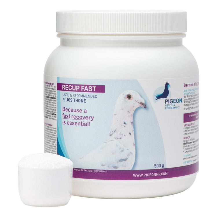 PHP Recup Fast - A Protein Blend for Quick Recovery - 1kg (2.2 lb) | Chicken Antibiotics