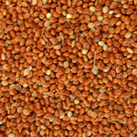 Red Millet - 25 lb | Chicken Antibiotics