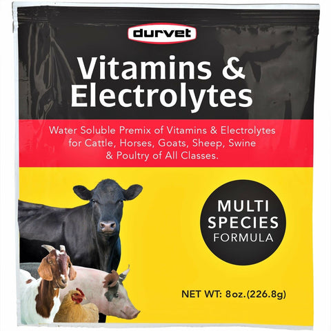 Durvet Vitamins & Electrolytes for Cattle, Horses, Sheep, Swine, Poultry (8 oz) | Chicken Antibiotics
