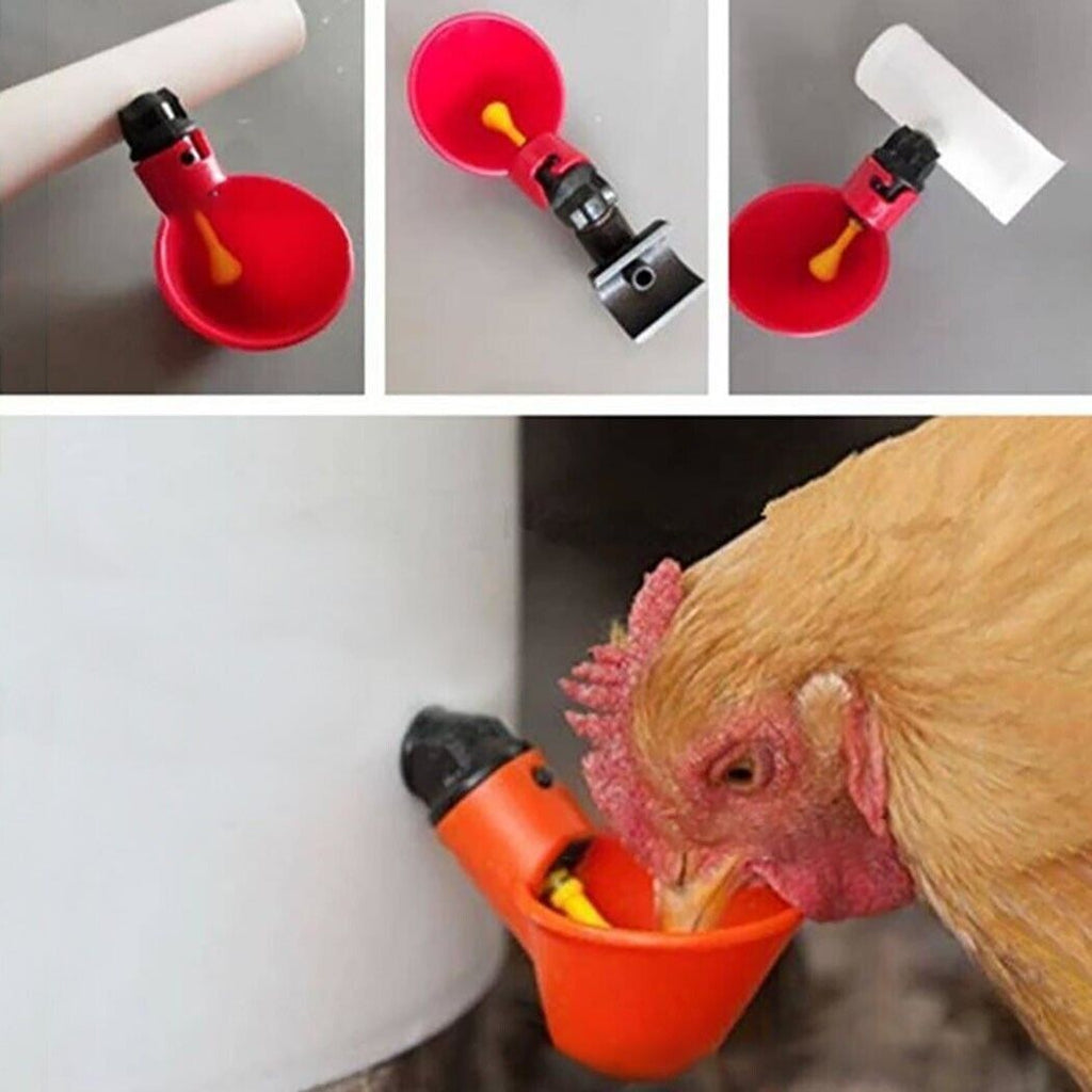 Automatic Water Drinking Cups - Water Feeder for Poultry and Pigeons (10 pcs.) | Chicken Antibiotics