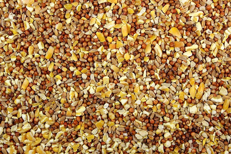 Chicken Scratch (Leach Grain & Milling) Affordable Chicken Feed - 25 LBS | Chicken Antibiotics