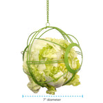 Chick-N-Veggie Ball | Rolling Treat Dispenser for Leafy Greens | Chicken Antibiotics